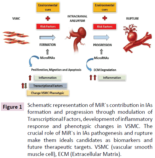 clinical-epigenetics-Transcriptional-Factors