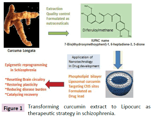 clinical-epigenetics-Transforming-curcumin