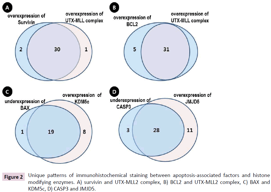 clinical-epigenetics-apoptosis-associated-factors