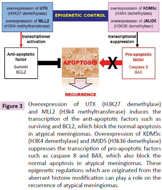 clinical-epigenetics-atypical-meningiomas