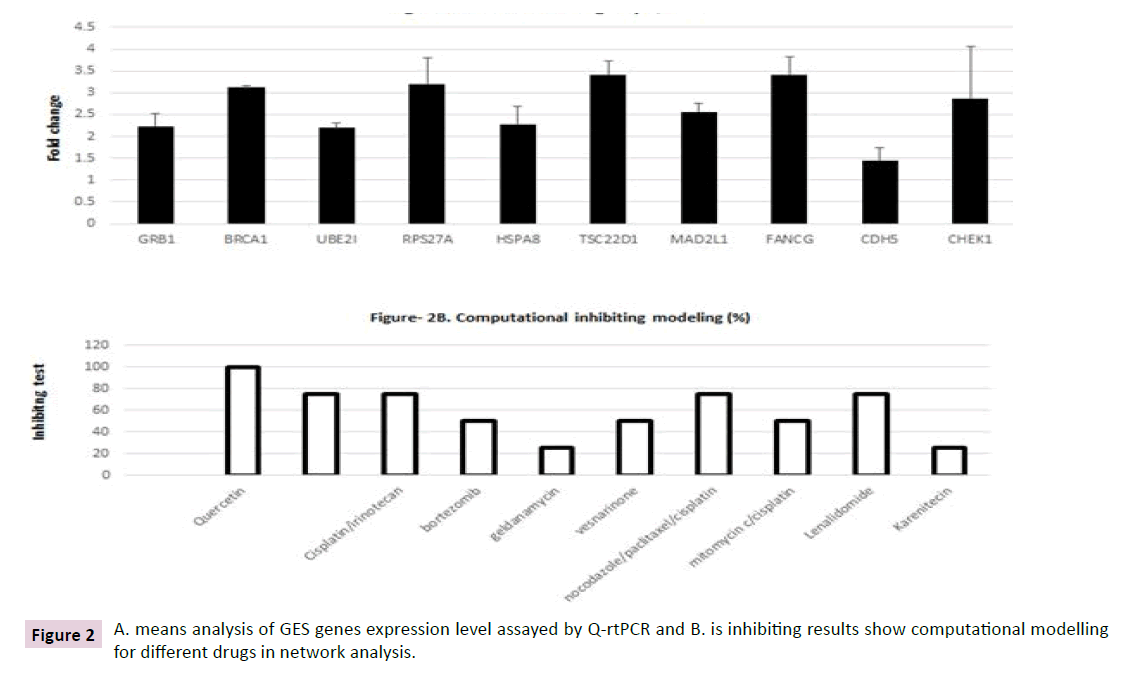 clinical-epigenetics-computational-modelling