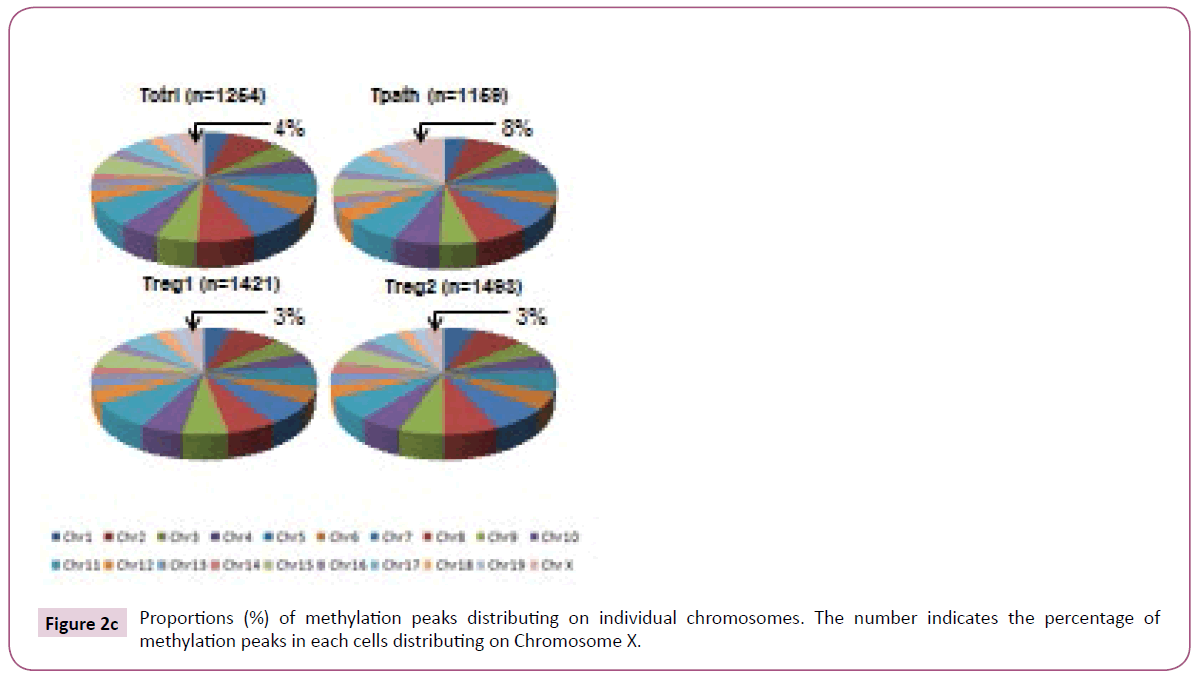 clinical-epigenetics-distributing-Chromosome