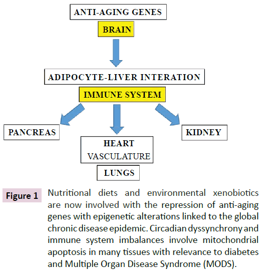 clinical-epigenetics-environmental-xenobiotics