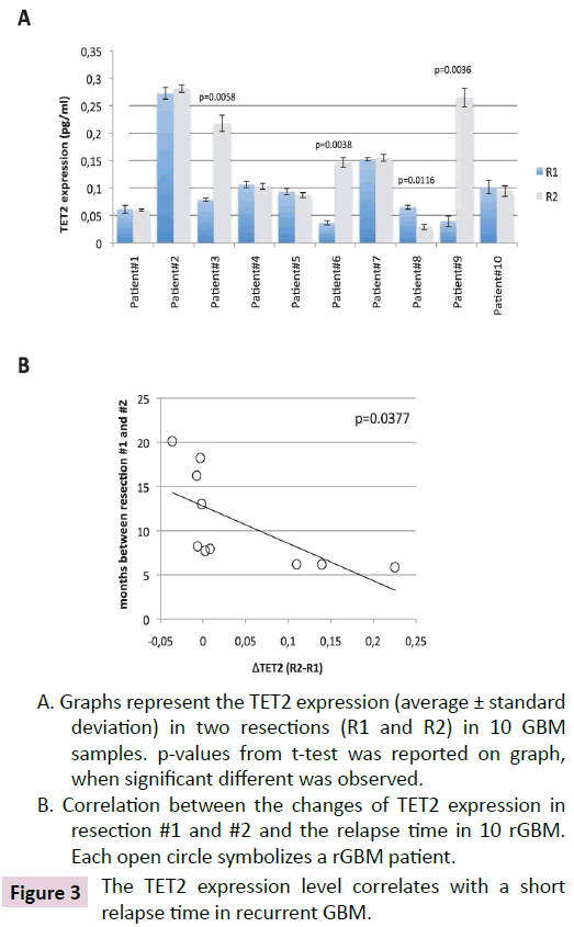 clinical-epigenetics-expression-level-correlates