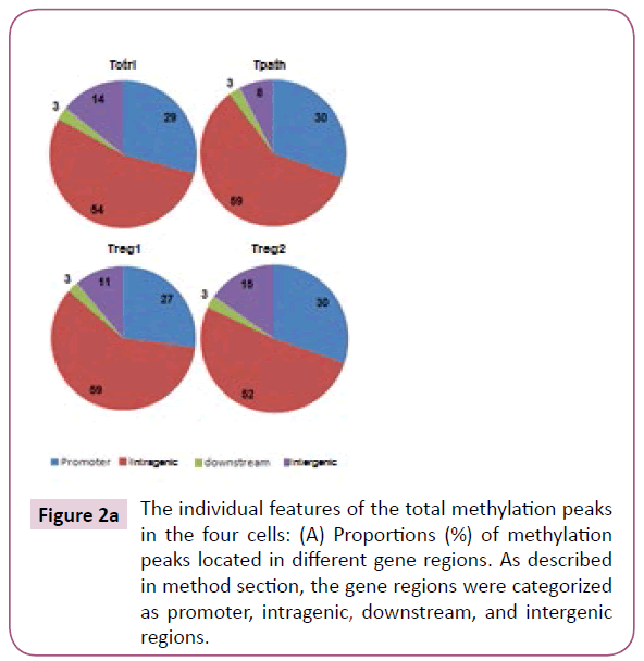 clinical-epigenetics-gene-regions