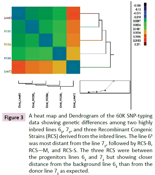 clinical-epigenetics-heat-map-Dendrogram