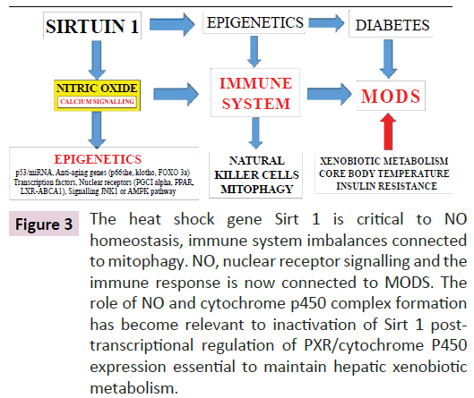 clinical-epigenetics-heat-shock-gene