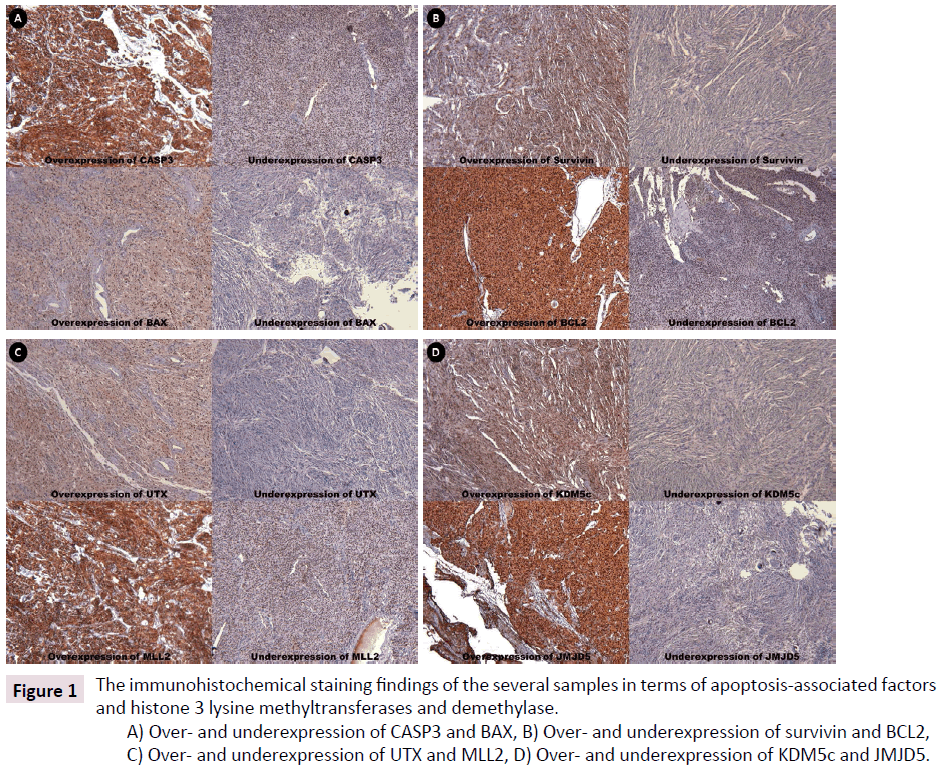 clinical-epigenetics-immunohistochemical-staining