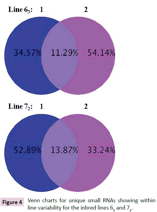 clinical-epigenetics-inbred-lines