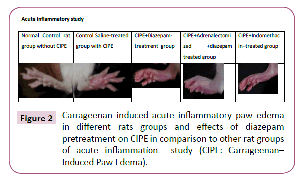 clinical-epigenetics-inflammation-study