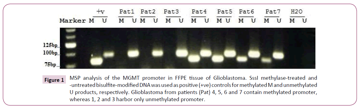 clinical-epigenetics-methylated-promoter