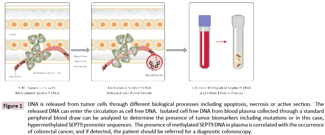 clinical-epigenetics-necrosis-active-section