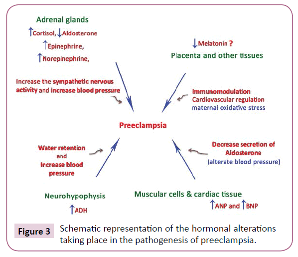 clinical-epigenetics-preeclampsia