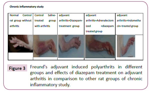 clinical-epigenetics-rat-groups
