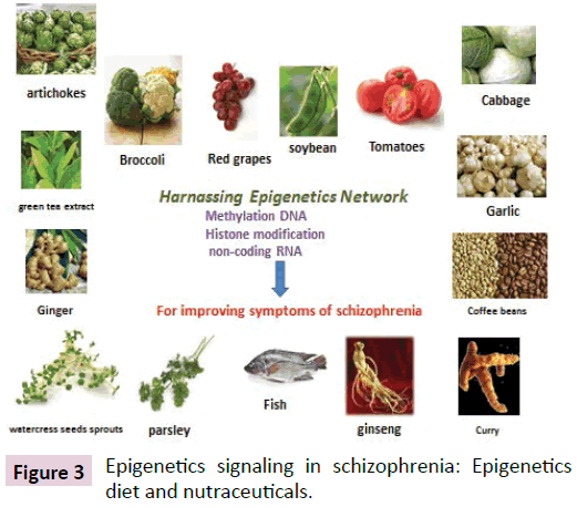 clinical-epigenetics-signaling-schizophrenia