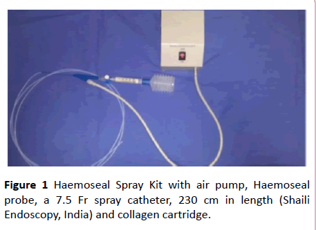 clinical-gastroenterology-hepatology-Haemoseal-Spray