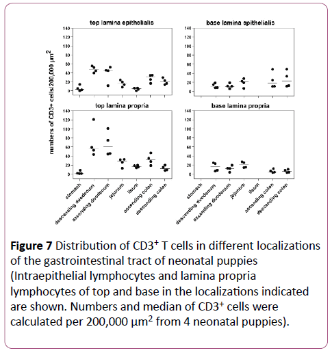 clinical-gastroenterology-hepatology-Intraepithelial-lymphocytes