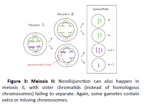 clinical-psychiatry-chromatids