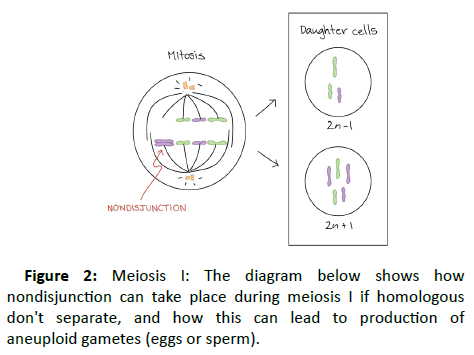 clinical-psychiatry-homologous