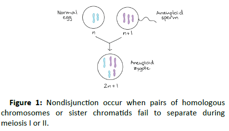 clinical-psychiatry-homologous-chromosomes