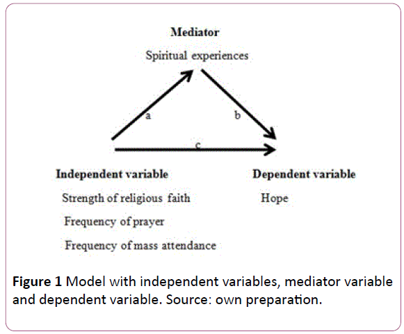 clinical-psychiatry-independent-variables