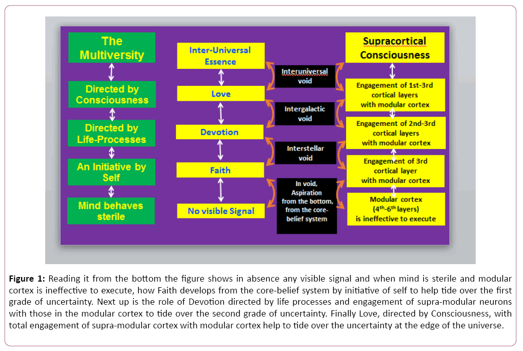 clinical-psychiatry-visible-signal