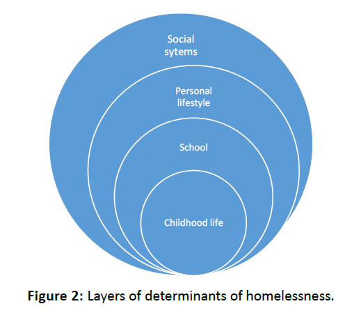 diversityhealthcare-Layers-determinants