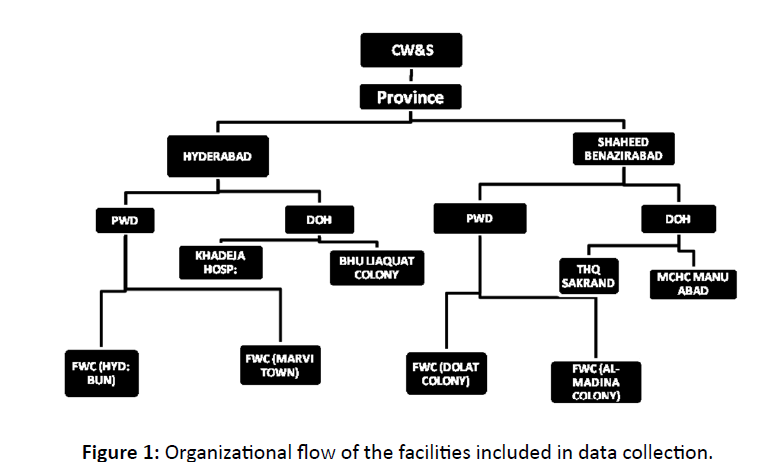 diversityhealthcare-Organizational-flow