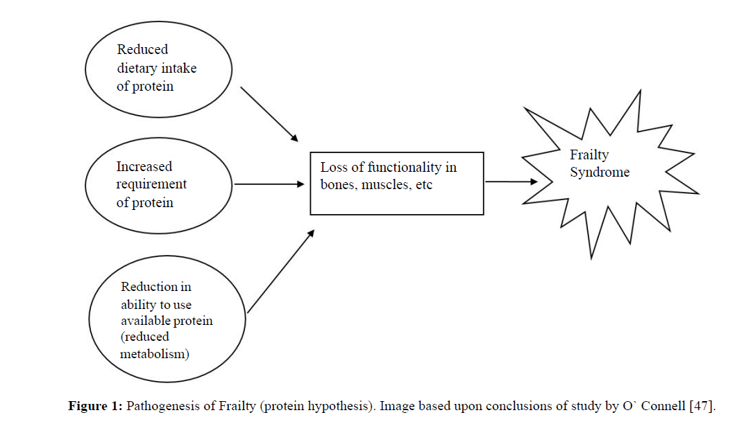 diversityhealthcare-Pathogenesis