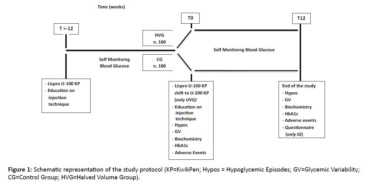 diversityhealthcare-Schematic-representation