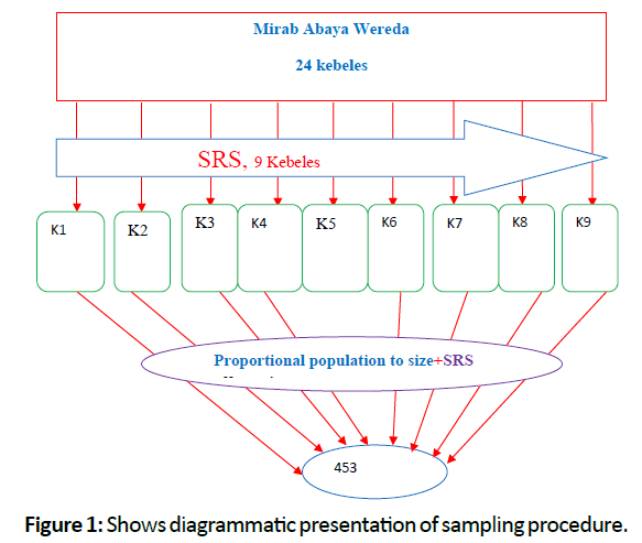 diversityhealthcare-Shows-diagrammatic