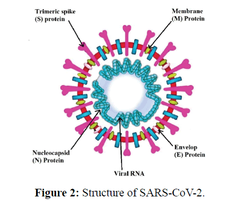 diversityhealthcare-Structure