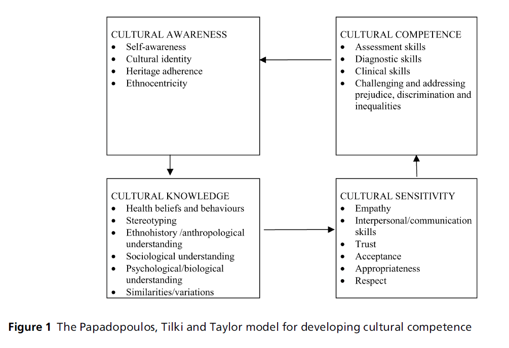 diversityhealthcare-developing-cultural