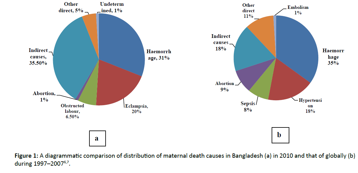 diversityhealthcare-maternal-death