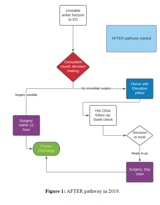 diversityhealthcare-pathway