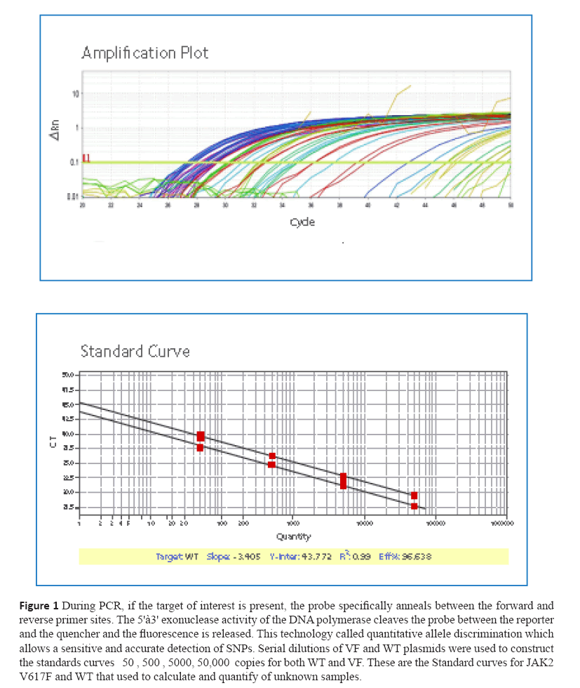 diversityhealthcare-probe-specifically-anneals-between