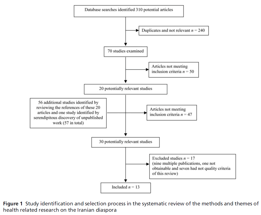 diversityhealthcare-systematic-review