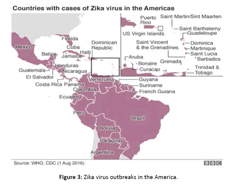 diversityhealthcare-virus-outbreak