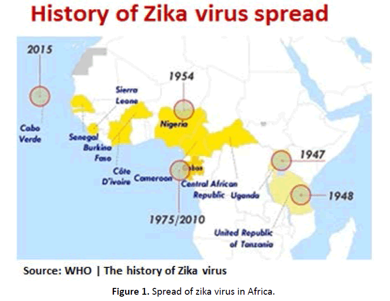 diversityhealthcare-zika-virus
