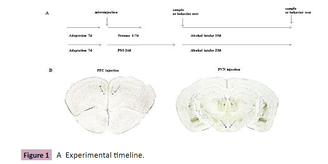 drug-abuse-Experimental-timeline