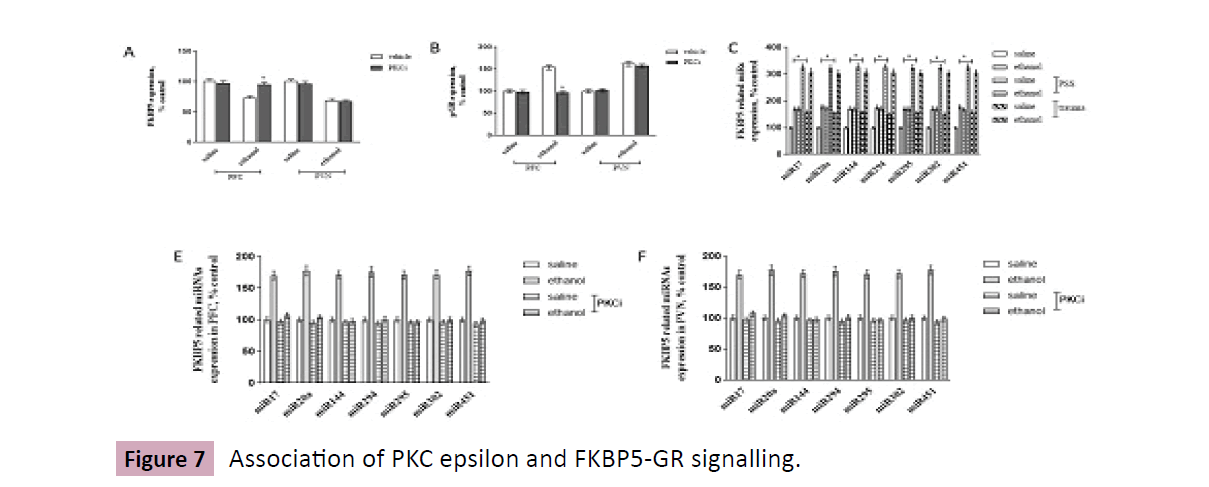 drug-abuse-PKC-epsilon