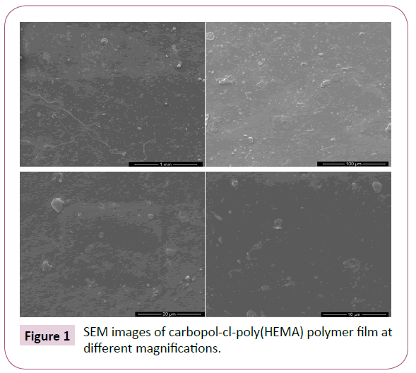 drug-delivery-therapeutics-SEM-images