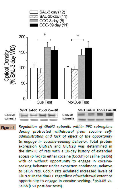 drugabuse-cocaine-lack-effect