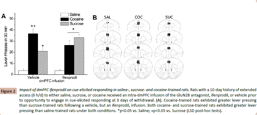 drugabuse-cue-elicited-saline