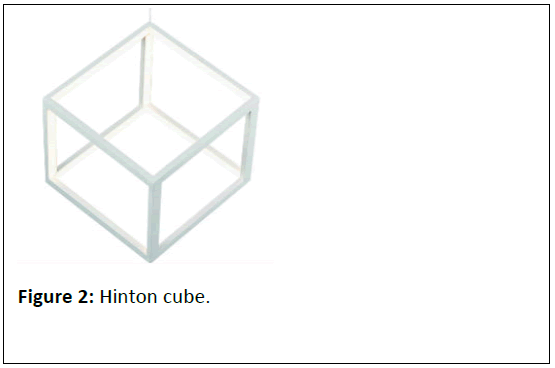 dual-diagnosis-cube