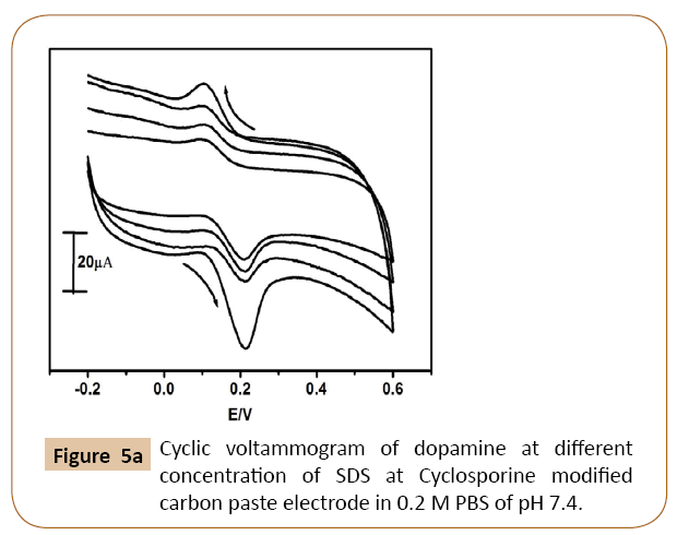 electroanalytical-Cyclic-voltammogram