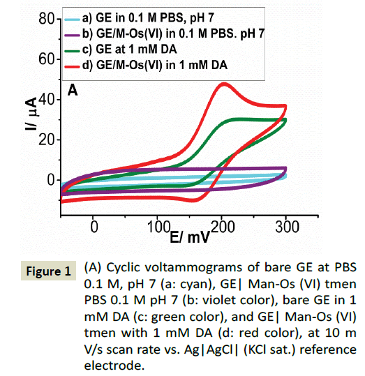 electroanalytical-Cyclic-voltammograms