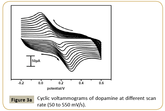 electroanalytical-Cyclic-voltammograms