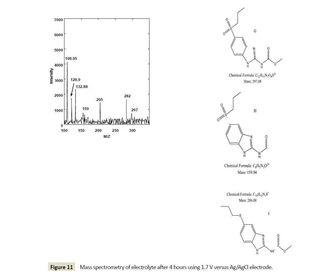 electroanalytical-Mass-spectrometry