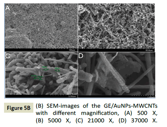 electroanalytical-different-magnification